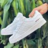 Adidas Super Star adicolor